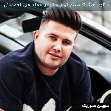 دانلود اهنگ تو شیتم کردی و ناو ای محله علی احمدیانی
